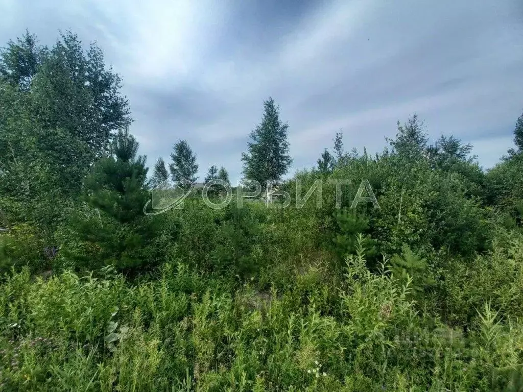 Участок в Тюменская область, Нижнетавдинский район, д. Московка  (12.0 ... - Фото 1