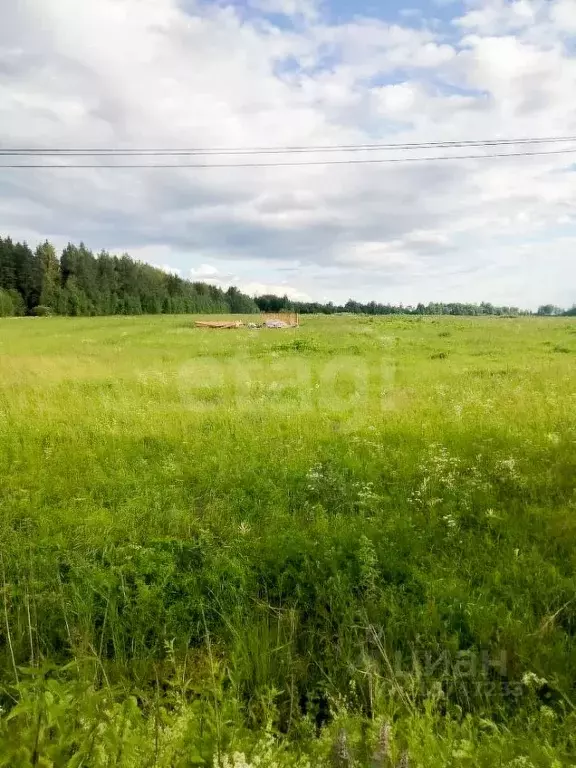 Участок в Ярославская область, Ярославский муниципальный округ, с. ... - Фото 0