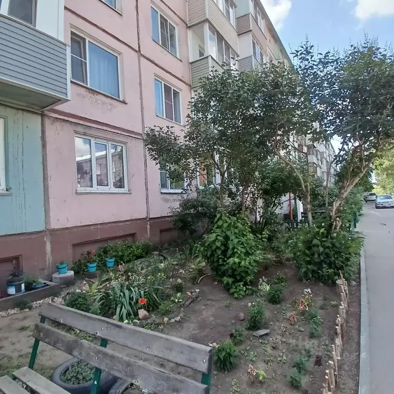 1-к кв. Алтайский край, Рубцовск ул. Федоренко, 1 (31.0 м) - Фото 1