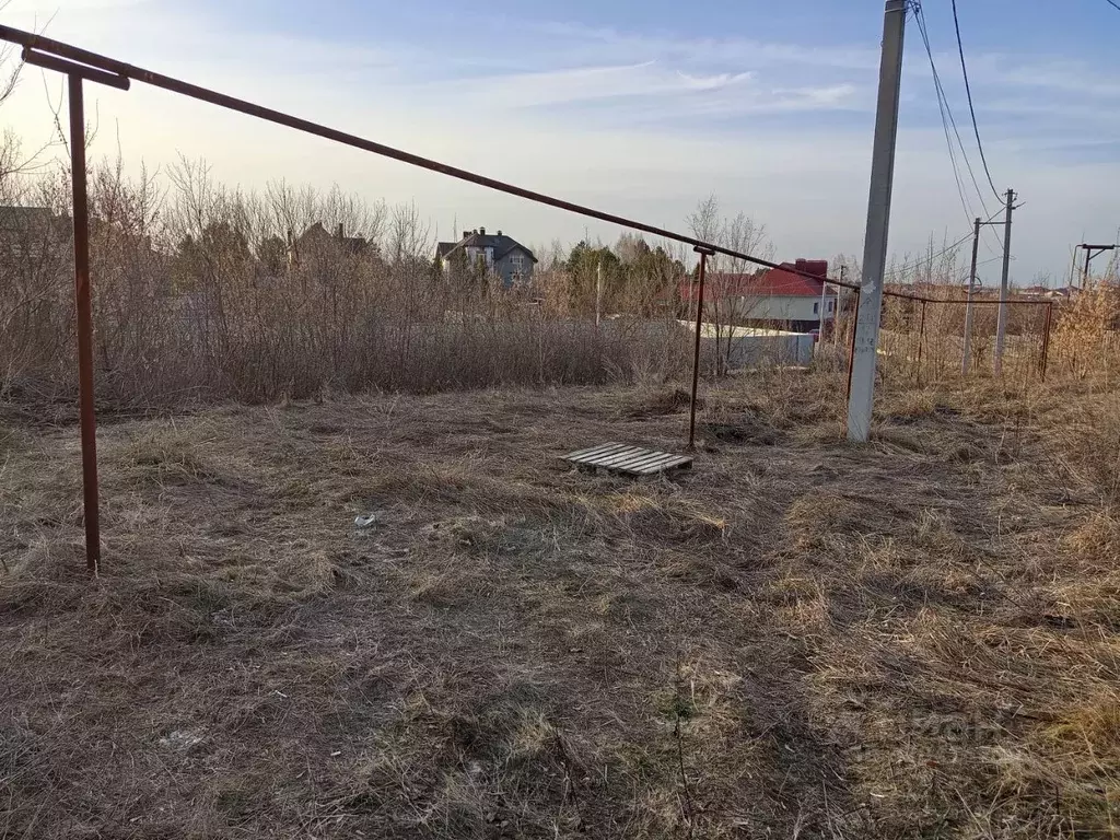 Участок в Саратовская область, д. Мергичевка  (15.0 сот.) - Фото 2