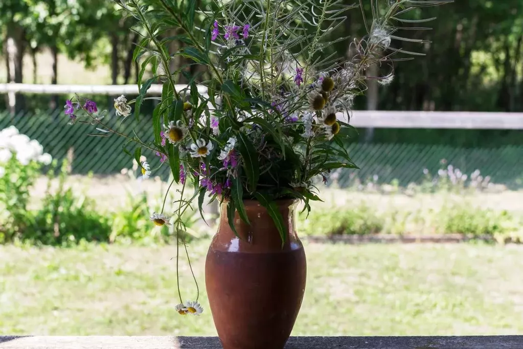 Дом в Псковская область, Гдов городское поселение, д. Хохлово Барское  ... - Фото 1