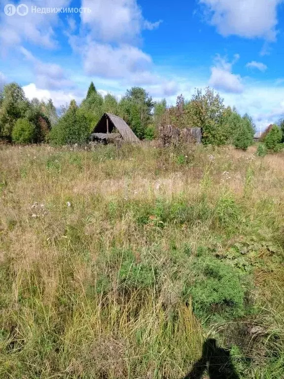 Участок в село Николо-Павловское, Совхозная улица (12 м) - Фото 1