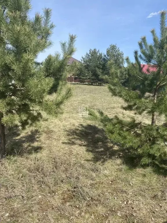 Участок в Калужская область, Дзержинский муниципальный округ, с. ... - Фото 1