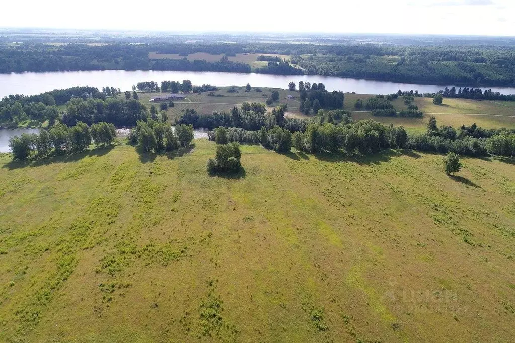 Участок в Тверская область, Зубцовский муниципальный округ, д. Борщево ... - Фото 2