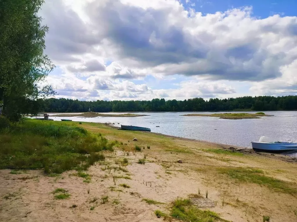 Участок в Ленинградская область, Лодейнопольский район, пос. ... - Фото 2