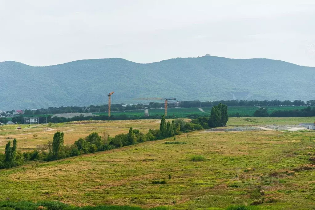 1-к кв. Краснодарский край, Новороссийск ул. Алексея Матвейкина, 1Ак3 ... - Фото 1