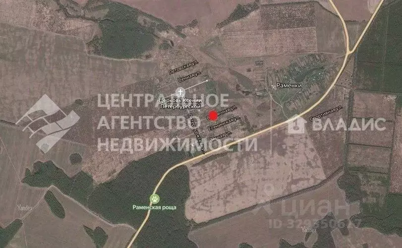 Участок в Рязанская область, Рыбновский муниципальный округ, д. ... - Фото 2