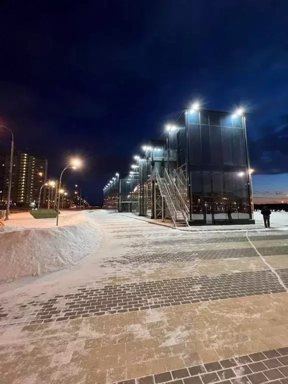 Помещение свободного назначения в Московская область, Домодедово Южный ... - Фото 2