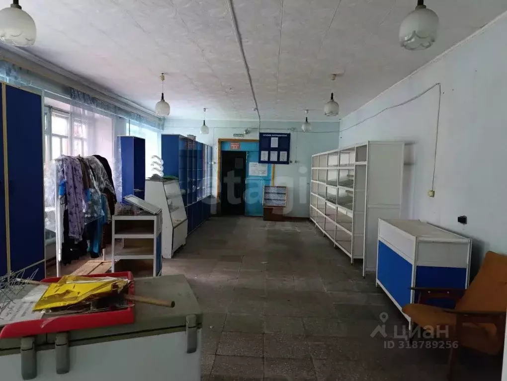 Торговая площадь в Амурская область, Благовещенский район, с. ... - Фото 1