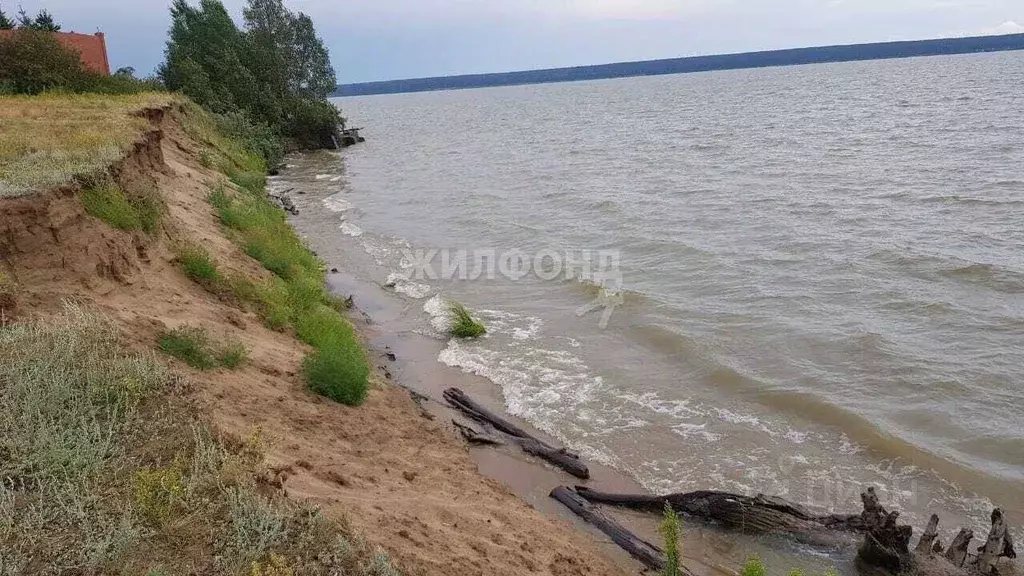 Участок в Новосибирская область, Ордынское рп ул. Флегоновская (20.0 ... - Фото 1