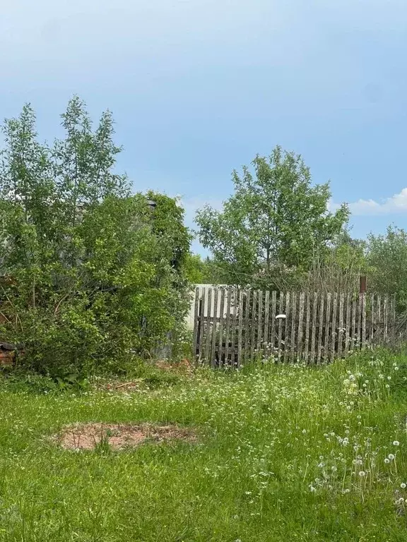 Участок в Новгородская область, Новгородский район, Савинское с/пос, ... - Фото 1