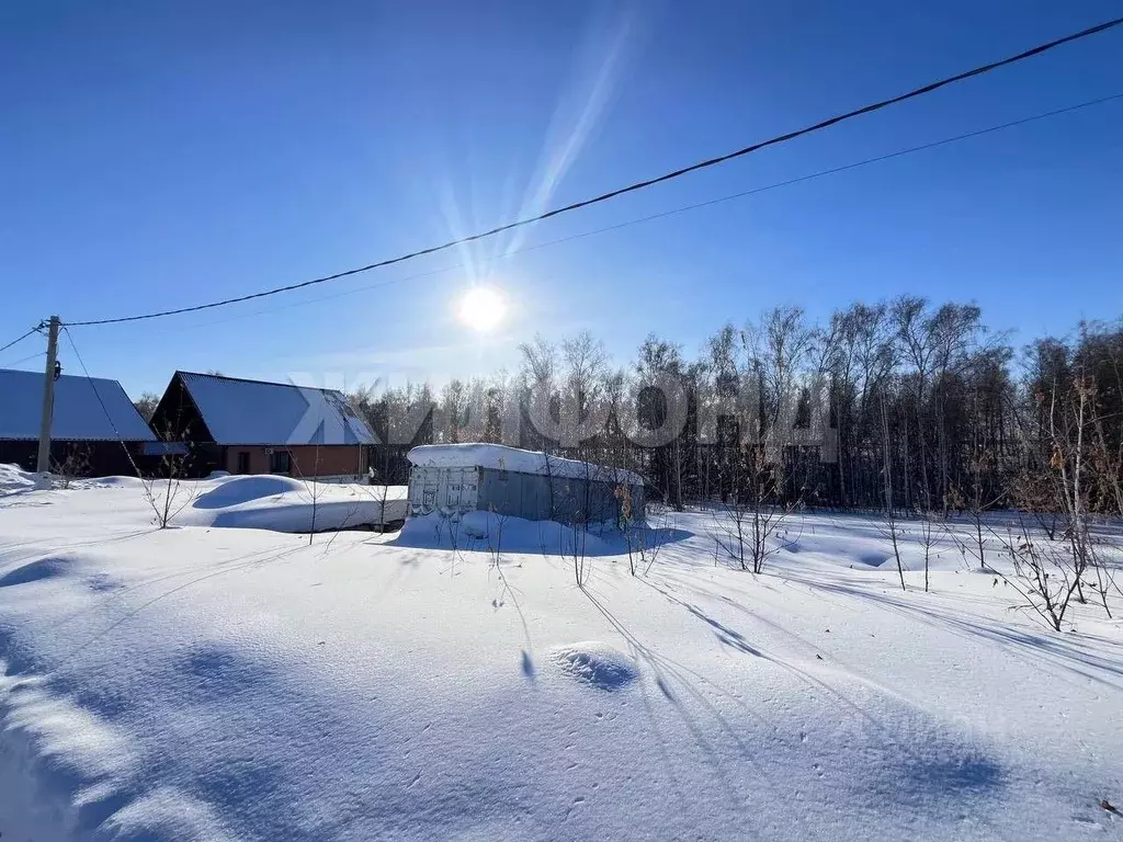 Участок в Новосибирская область, Новосибирский район, Верх-Тулинский ... - Фото 2