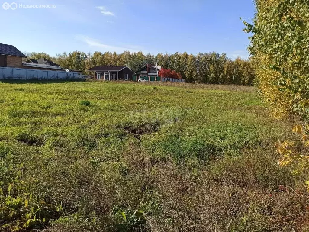 Участок в Искитимский район, Мичуринский сельсовет, садовое ... - Фото 1