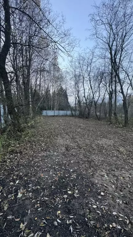 Участок в Москва Десна-1 СПК, ул. Лесная (4.0 сот.) - Фото 1