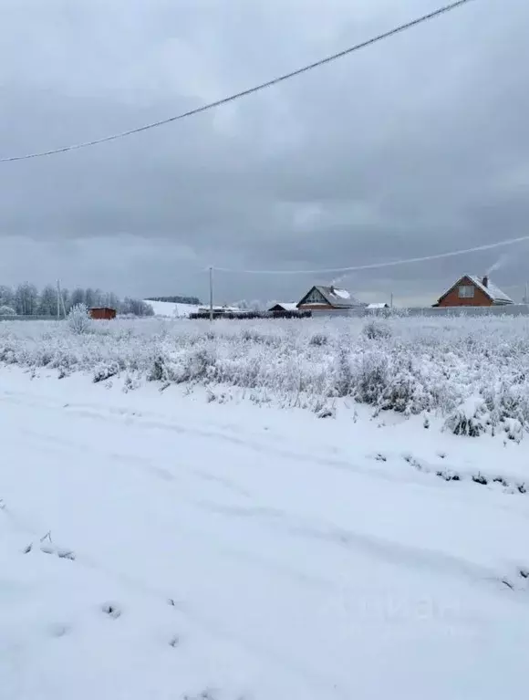 Участок в Тульская область, Тула городской округ, д. Частинские ... - Фото 2