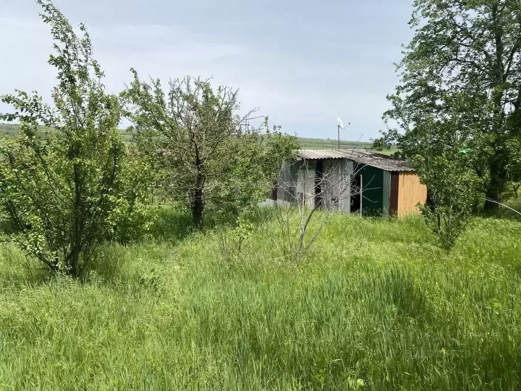 Участок в Ставропольский край, Ставрополь Оптрон-1 садовое ... - Фото 2