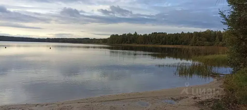 Участок в Новгородская область, Валдайский район, Короцкое с/пос, д. ... - Фото 1