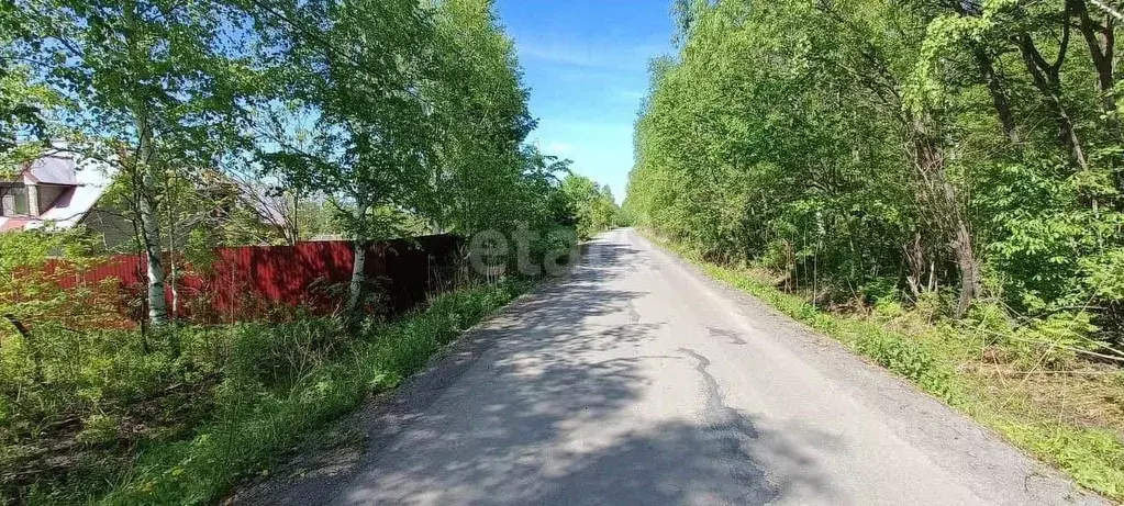 Участок в Хабаровский край, Хабаровский район, с. Сосновка Заречная ... - Фото 0