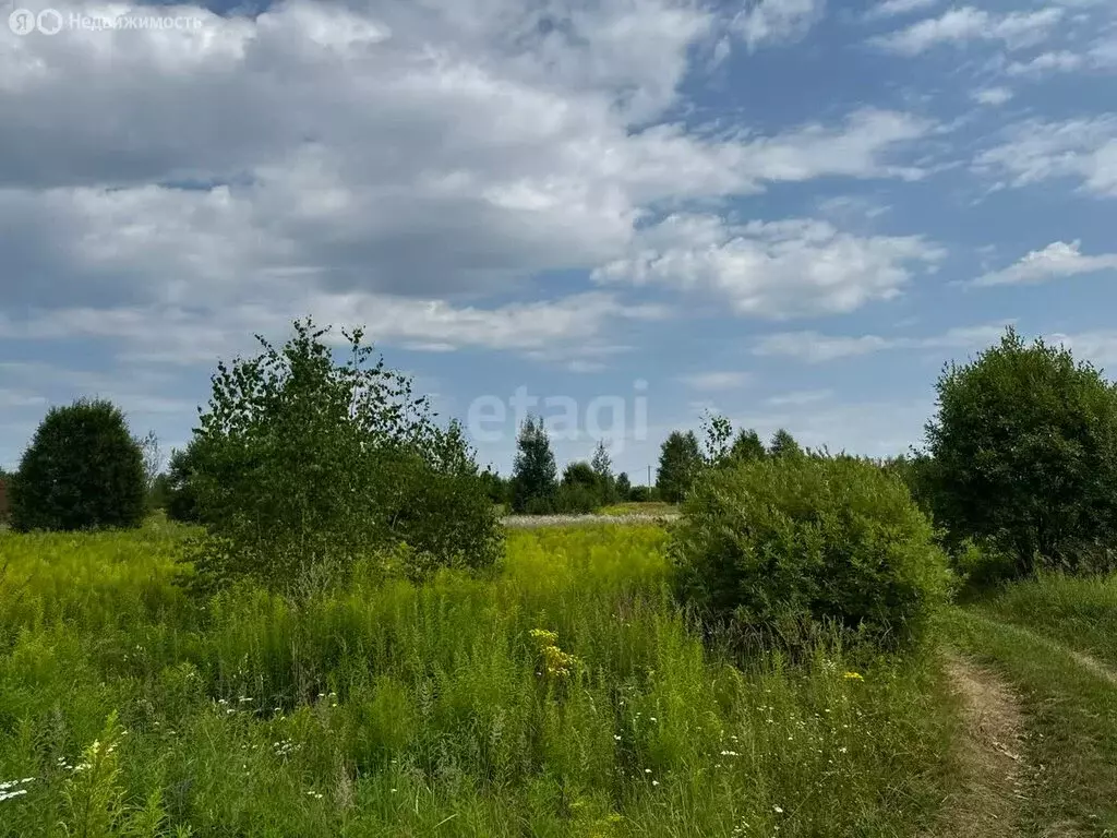 Участок в Нижегородская область, Городецкий муниципальный округ, ... - Фото 1