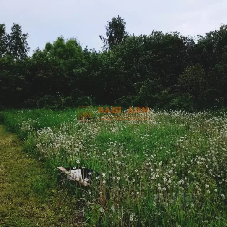 Участок в Тульская область, Тула городской округ, д. Барыбинка  (10.13 ... - Фото 1