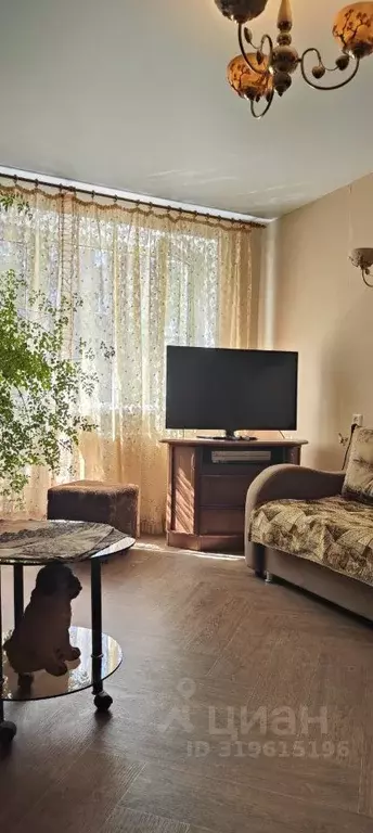 1-к кв. Волгоградская область, Волжский ул. Пушкина, 104 (28.0 м) - Фото 0