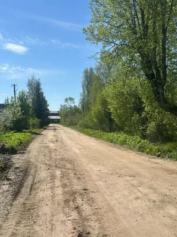 Участок в Новгородская область, Новгородский район, Ермолинское с/пос, ... - Фото 0