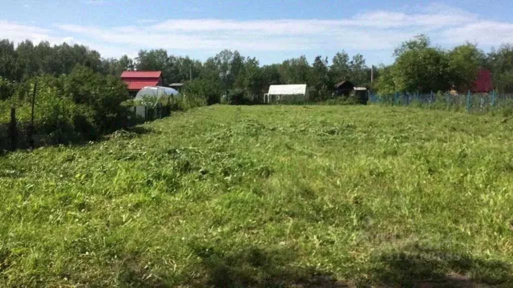 Участок в Новосибирская область, Новосибирский район, Барышевский ... - Фото 1