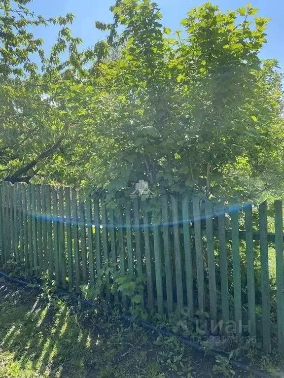Участок в Белгородская область, Белгородский муниципальный округ, с. ... - Фото 1