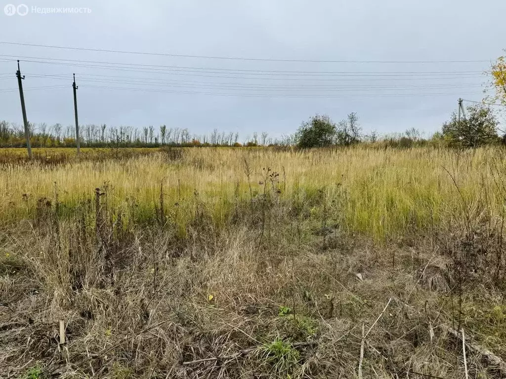 Участок в Тульская область, городской округ Тула, деревня Волоть (9 м) - Фото 0