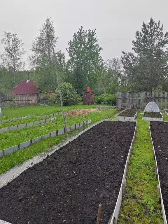 Участок в Новгородская область, Новгородский район, Ермолинское с/пос, ... - Фото 1