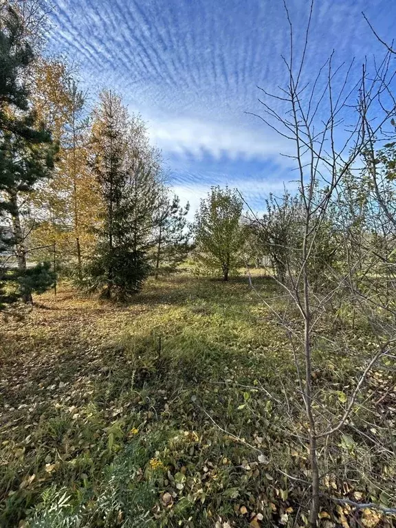 Участок в Нижегородская область, Сергач ул. Казакова (3150.0 сот.) - Фото 0