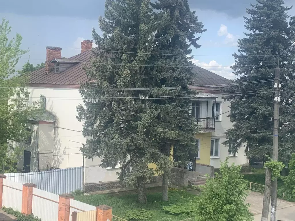 Помещение свободного назначения в Калужская область, Боровск ул. ... - Фото 1