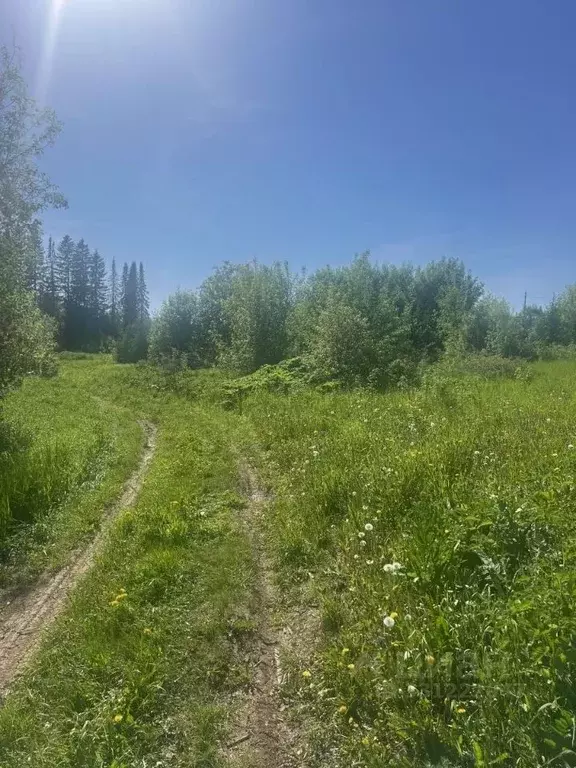 Участок в Пермский край, Пермский муниципальный округ, д. Паны, ... - Фото 2