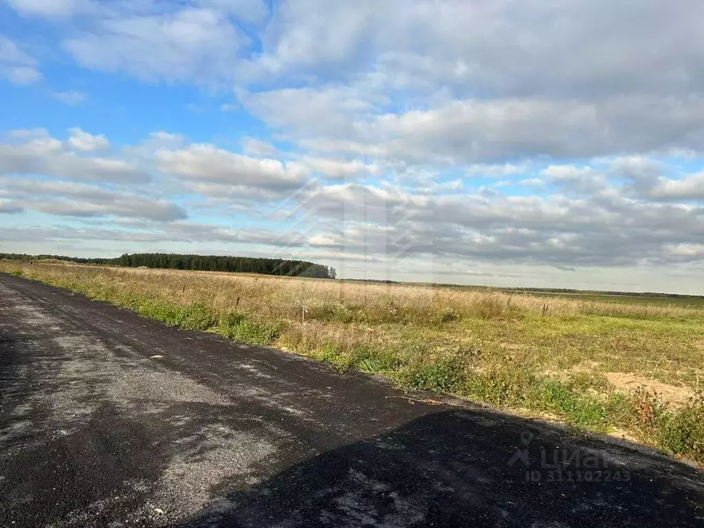 Участок в Московская область, Домодедово городской округ, д. Матчино  ... - Фото 1