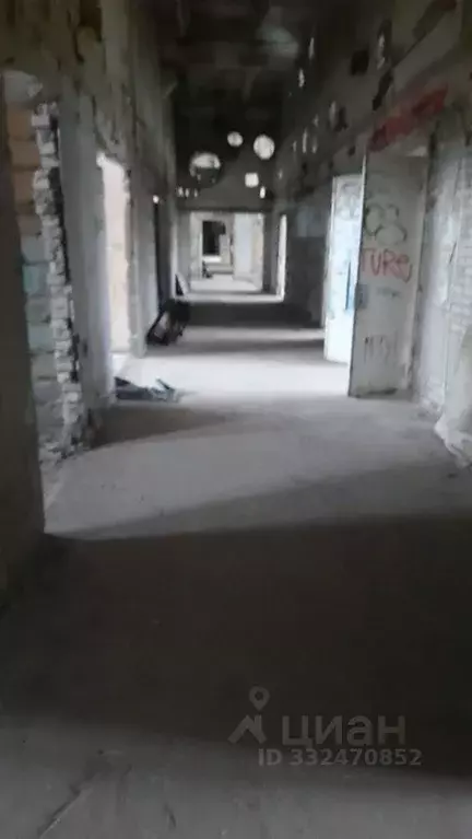 Помещение свободного назначения в Санкт-Петербург Уральская ул., 4В ... - Фото 1