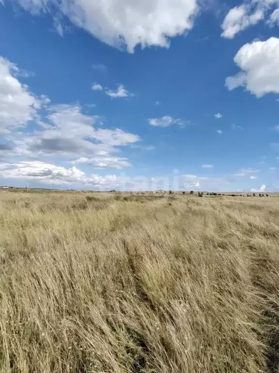 Участок в Хакасия, Алтайский район, с. Белый Яр ул. Орловская (12.2 ... - Фото 1