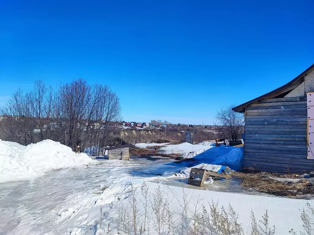 Участок в Алтайский край, Барнаул городской округ, пос. Бельмесево ул. ... - Фото 1