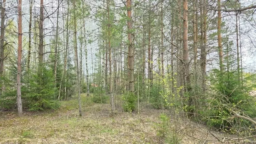 Участок в деревня Касимово, улица Раевского, 4 (10 м) - Фото 1