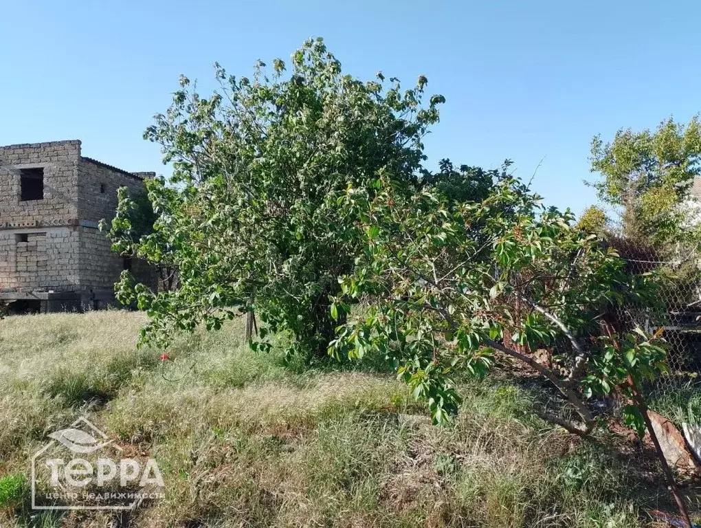 Участок в Крым, Сакский район, Суворовское с/пос, с. Великое  (6.3 ... - Фото 2