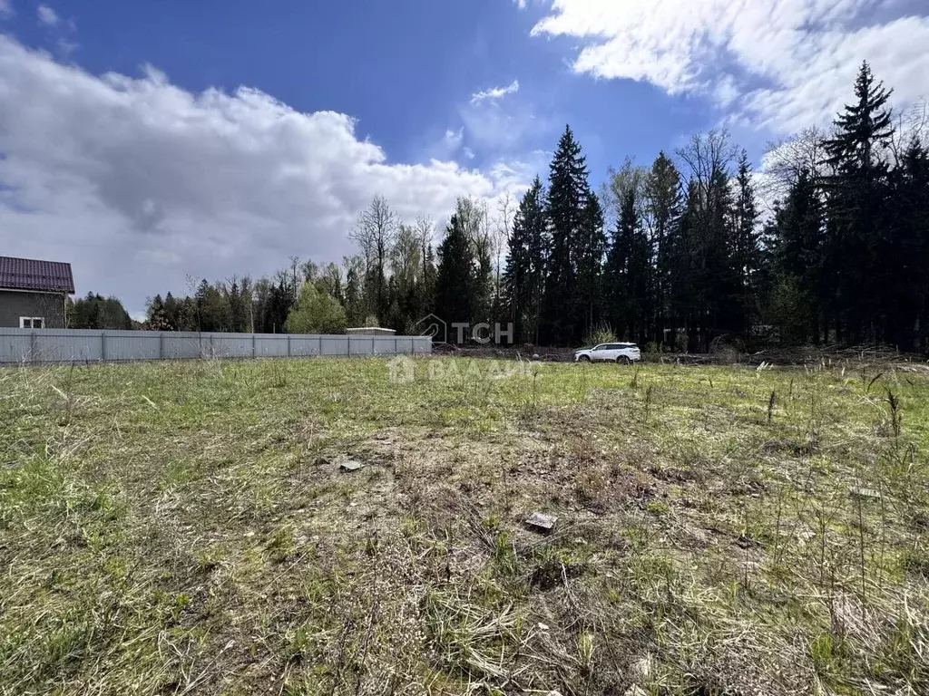 Участок в Московская область, Пушкинский городской округ, д. Могильцы, ... - Фото 2