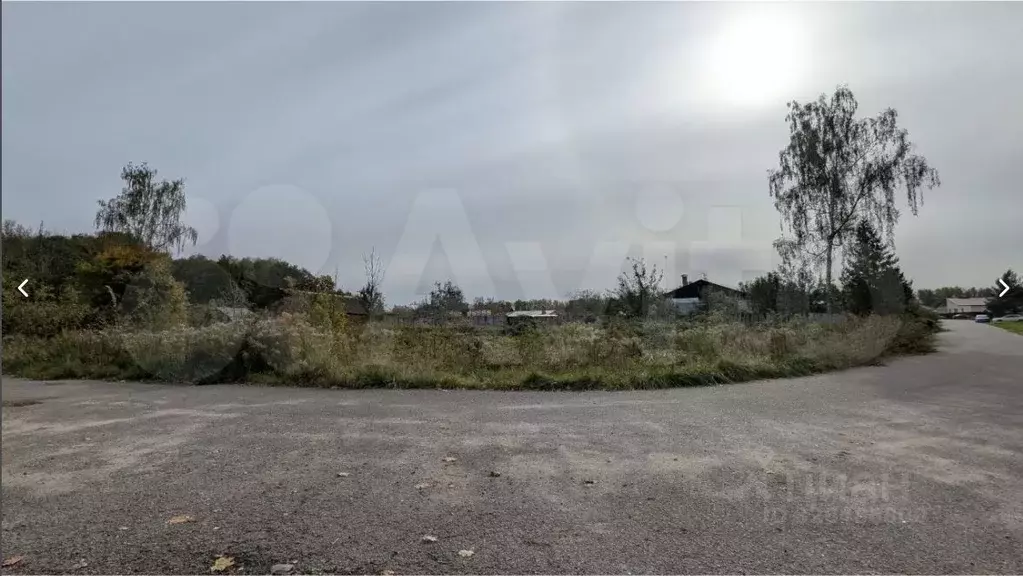 Участок в Тульская область, Тула городской округ, с. Зайцево ул. ... - Фото 2