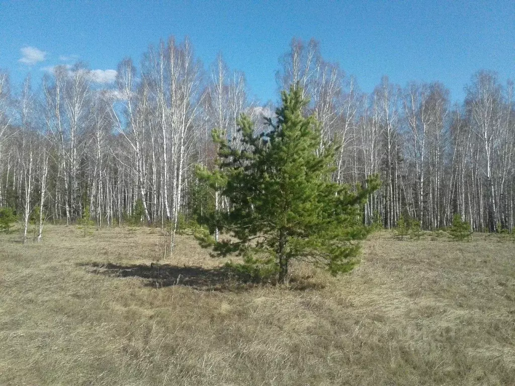 Участок в Свердловская область, Каменский городской округ, д. ... - Фото 1