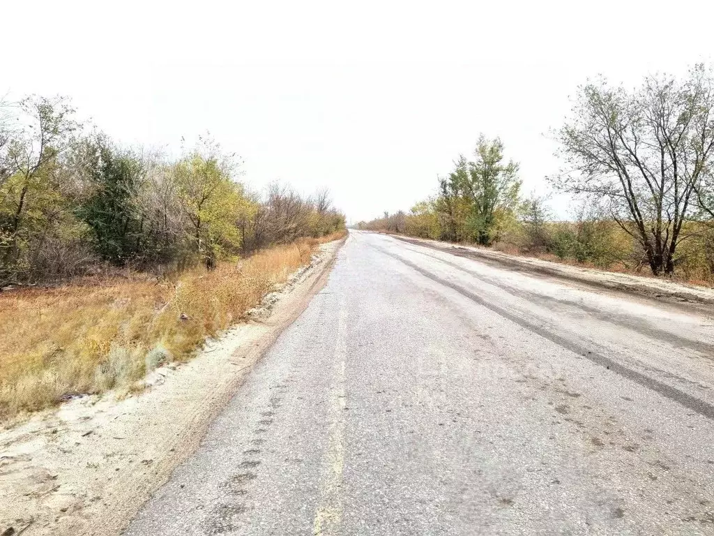 Участок в Волгоградская область, Городищенский район, Орловское с/пос, ... - Фото 0