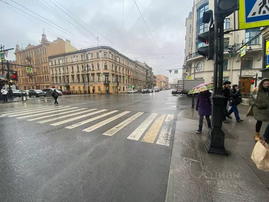 Помещение свободного назначения в Санкт-Петербург ул. Жуковского, 49 ... - Фото 2