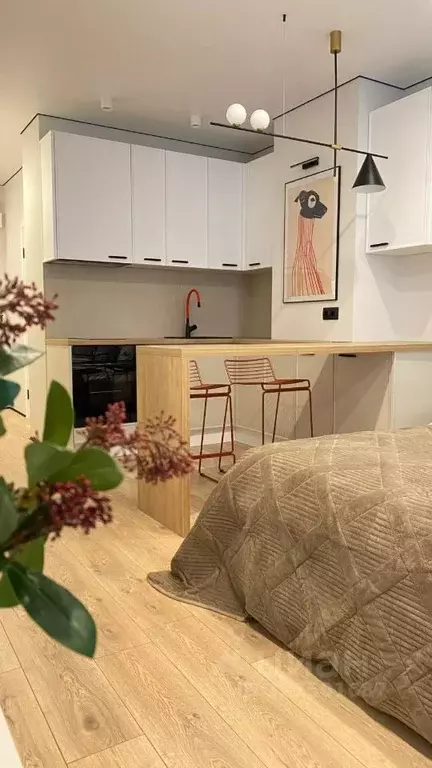 Студия Ростовская область, Ростов-на-Дону, Нахичевань ул. 23-я Линия, ... - Фото 1