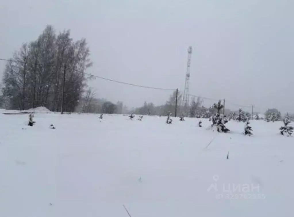 Участок в Московская область, Воскресенск городской округ, с. Осташово ... - Фото 2