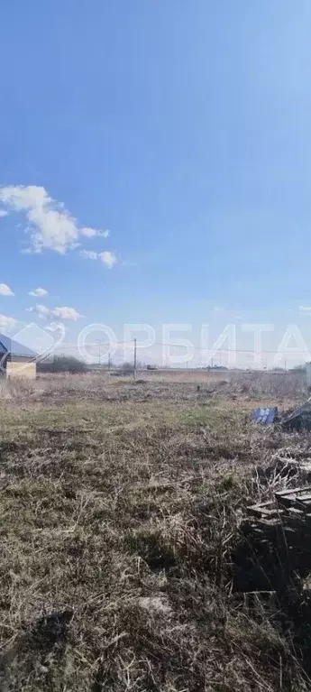 Участок в Тюменская область, Тюмень Рябинка-2 садовое товарищество,  ... - Фото 2