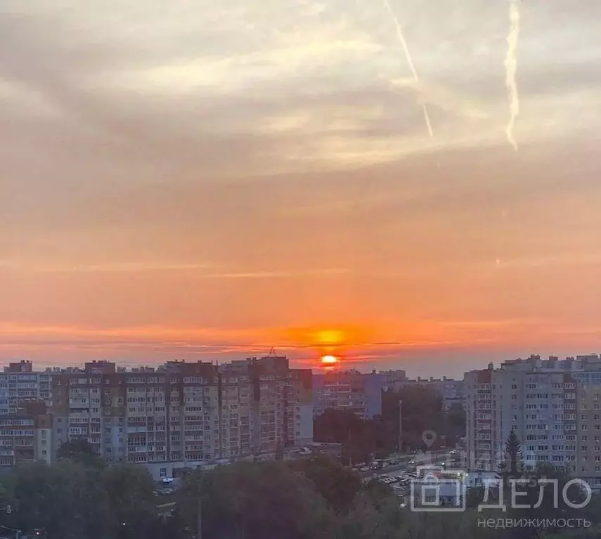 2-к кв. Рязанская область, Рязань ул. Новоселов, 45к1 (75.7 м) - Фото 1