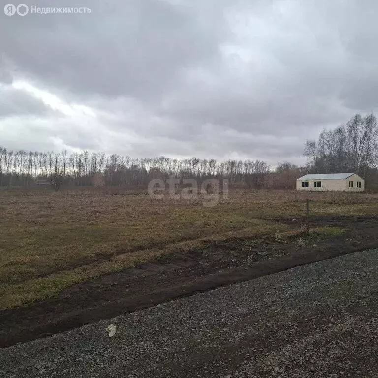 Участок в Новосибирский район, село Плотниково (10 м) - Фото 1