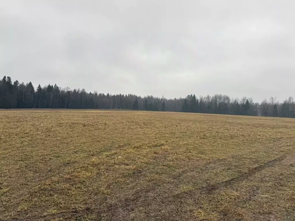 Участок в Московская область, Пушкинский городской округ, д. Жилкино  ... - Фото 1